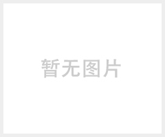 广州鸿盛厂家电梯停电应急平层装置厂家直销
