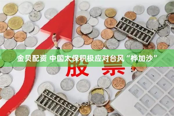 金贝配资 中国太保积极应对台风“桦加沙”