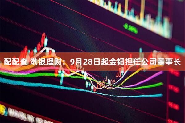配配查 渤银理财：9月28日起金韬担任公司董事长
